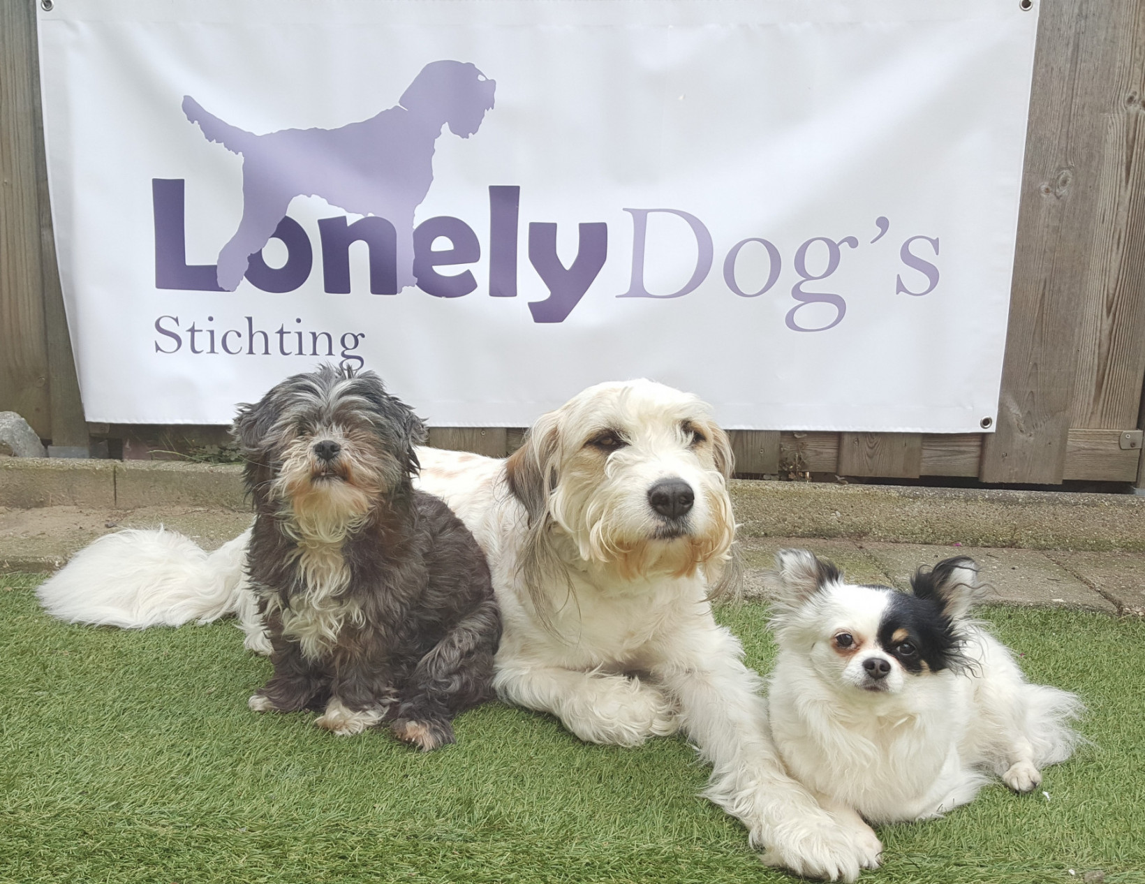 Stichting Lonely Dogs voor Verhuisdieren